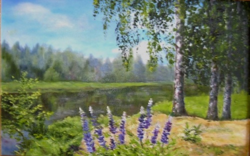 Люпины с берёзами