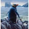 GREENWICH: Древняя ДНК показывает потерянные виды пингвинов