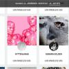 Водочный бренд Absolut выходит на арт-рынок в интернете